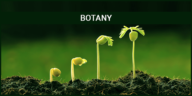 phd botany topics